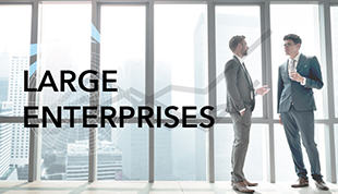 Large Enterprises